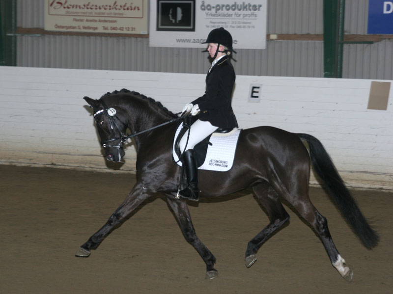 20080406_122444 Linda Hardbrant Mazette